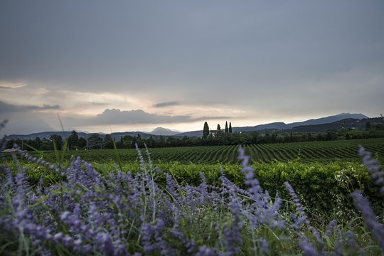 Tour image 2