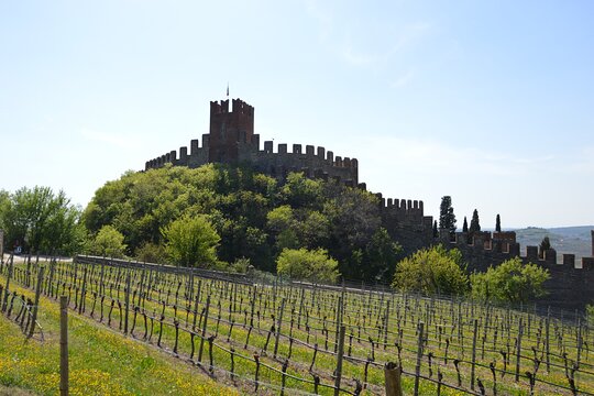 Tour image 4